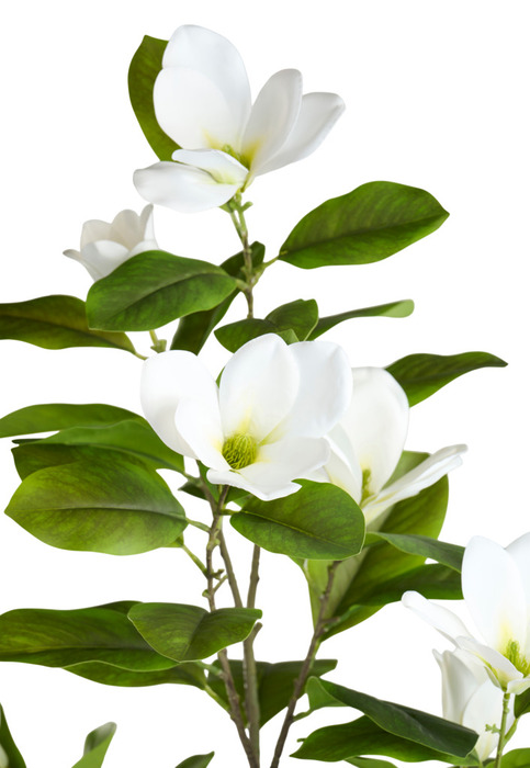 Kunstigt magnolietræ 110 cm